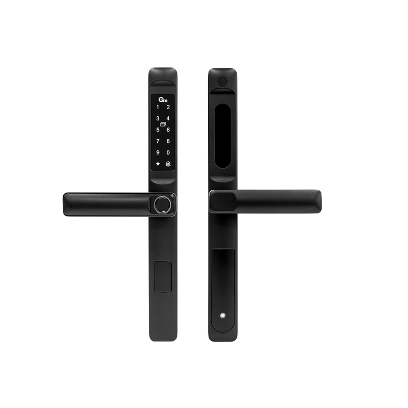 Умный дверной замок D10R