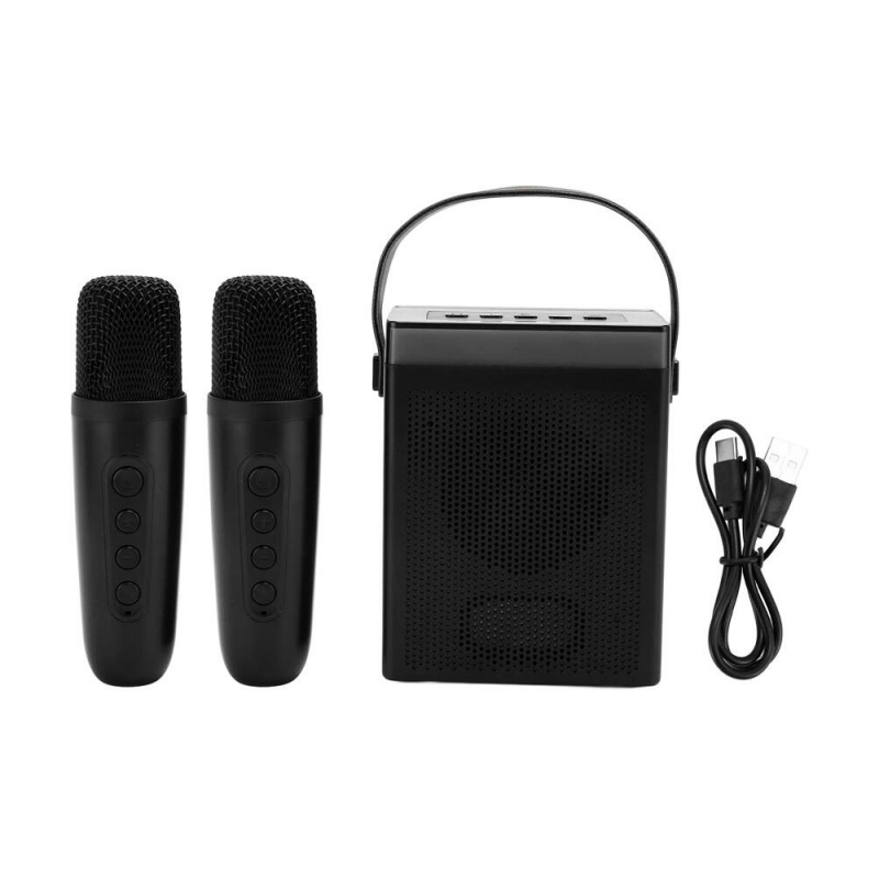 Колонка K-16 с двумя микрофонами