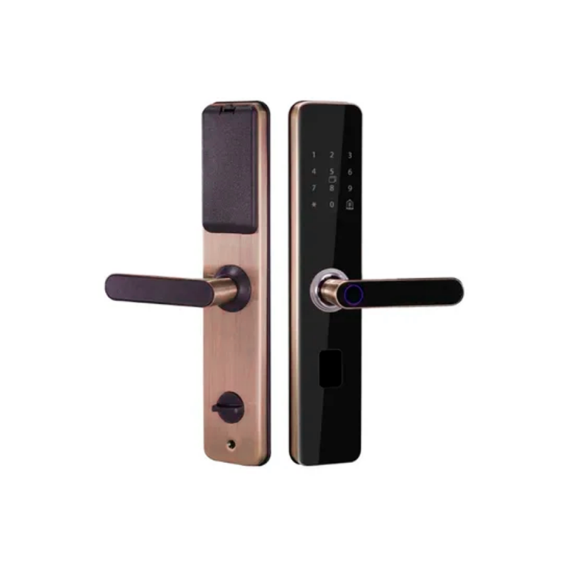 Cмарт-замок для раздвижных дверей LWH118