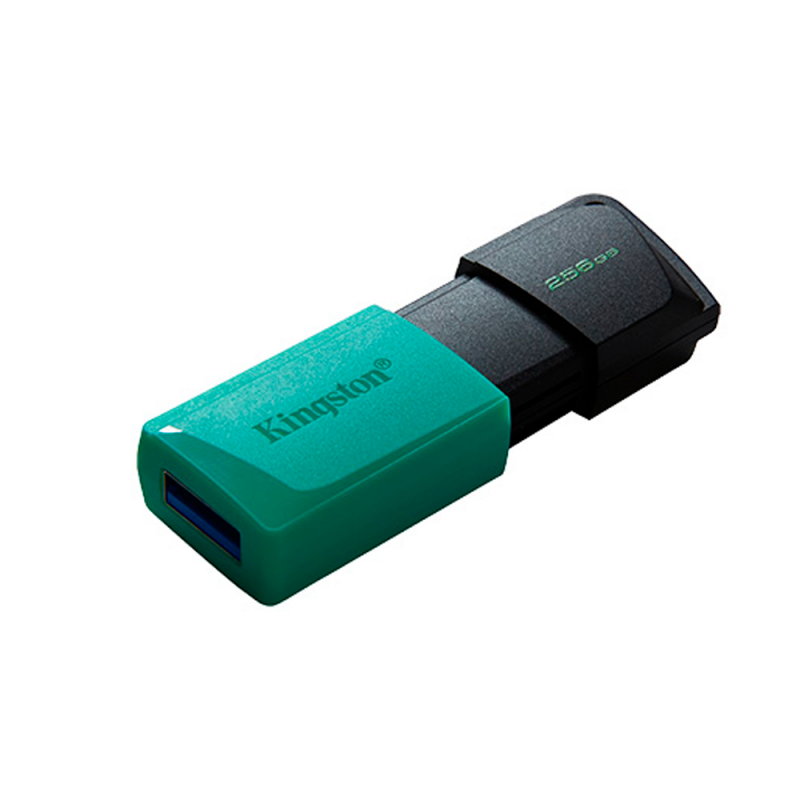 USB-накопитель DataTraveler Exodia M KINGSON 256GB