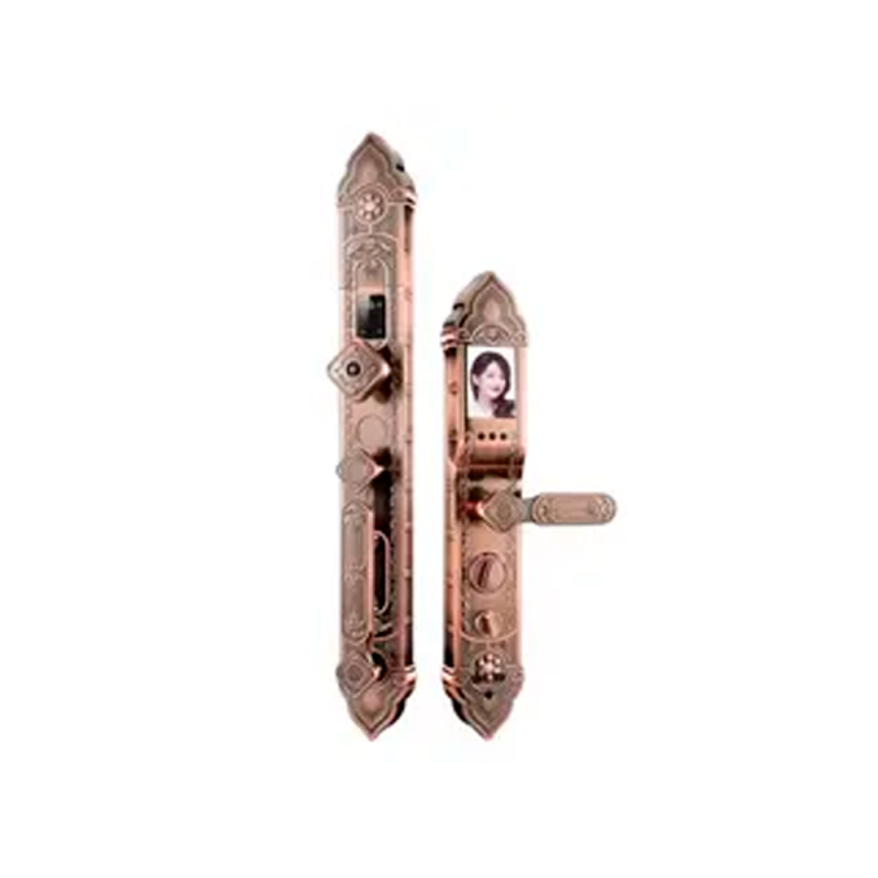 Замок с отпечатком пальца