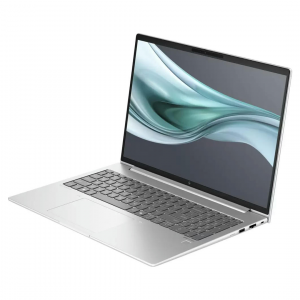 Ноутбук HP EliteBook 660 G11 (Pike Silver) — Wolf Security Edition
