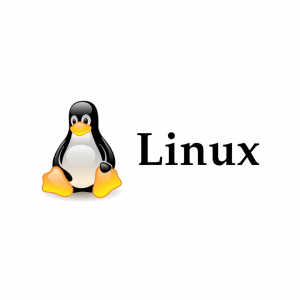 Установка ОС Linux